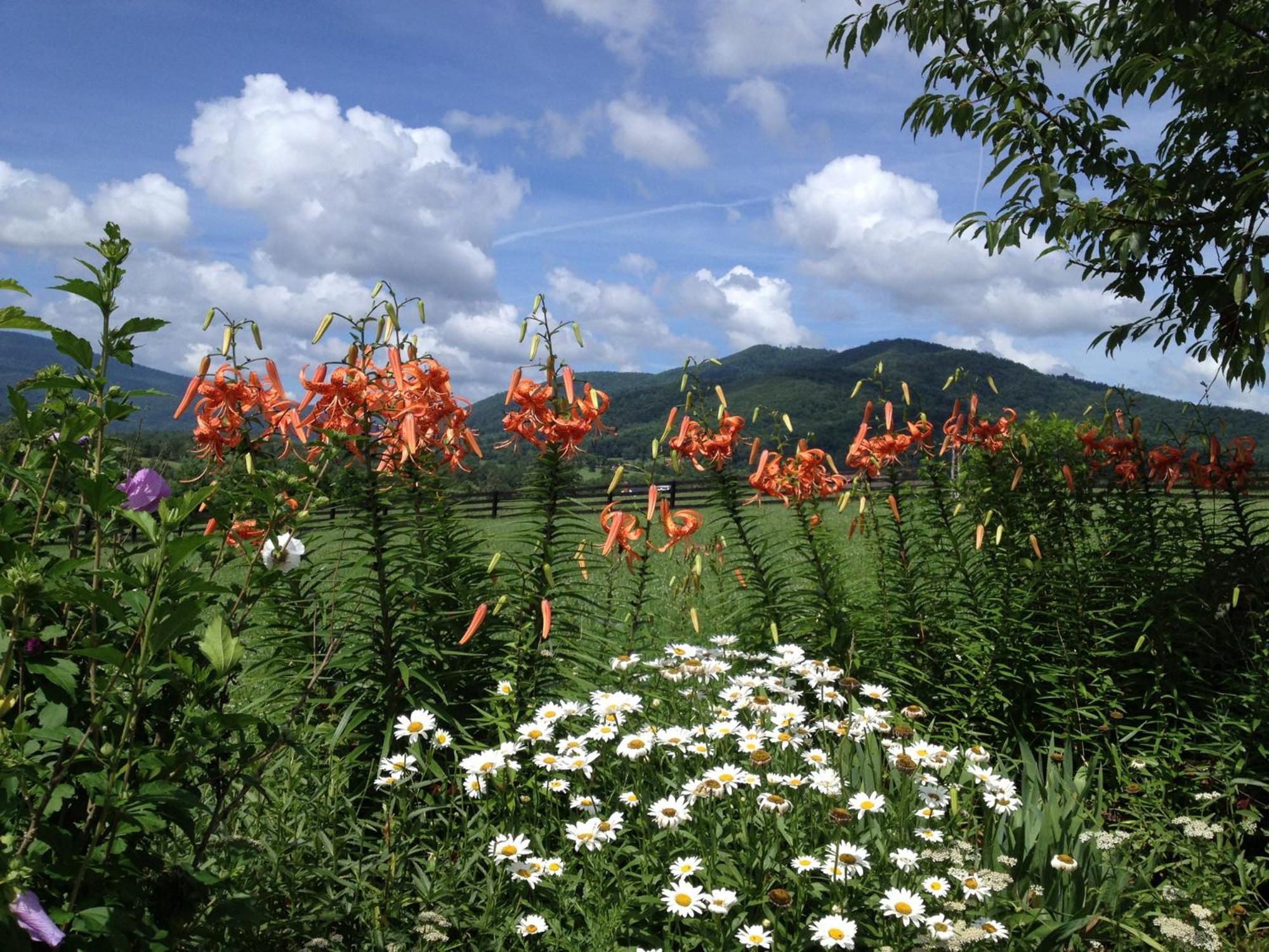 Montfair Resort Farm Crozet 외부 사진