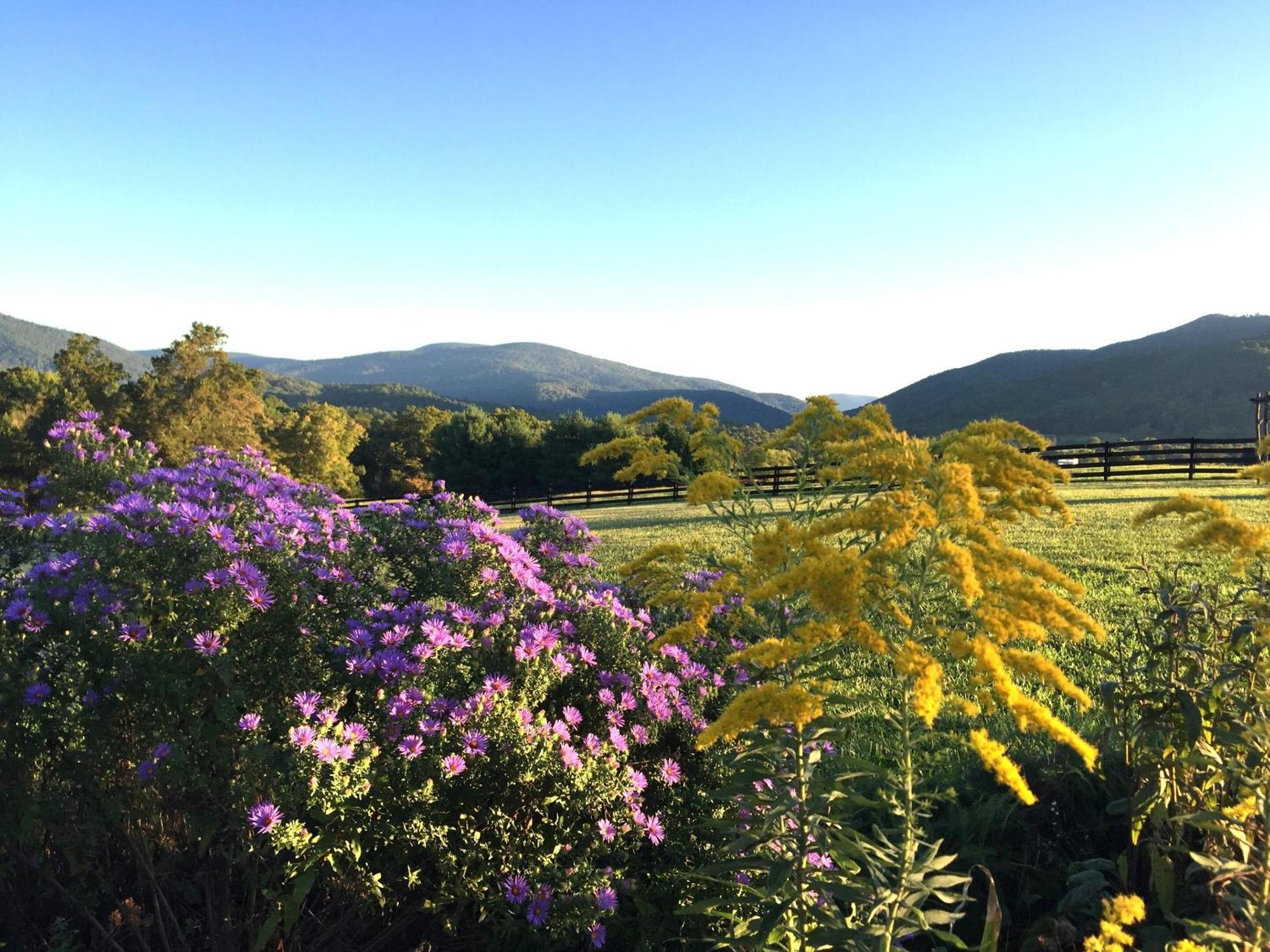 Montfair Resort Farm Crozet 객실 사진