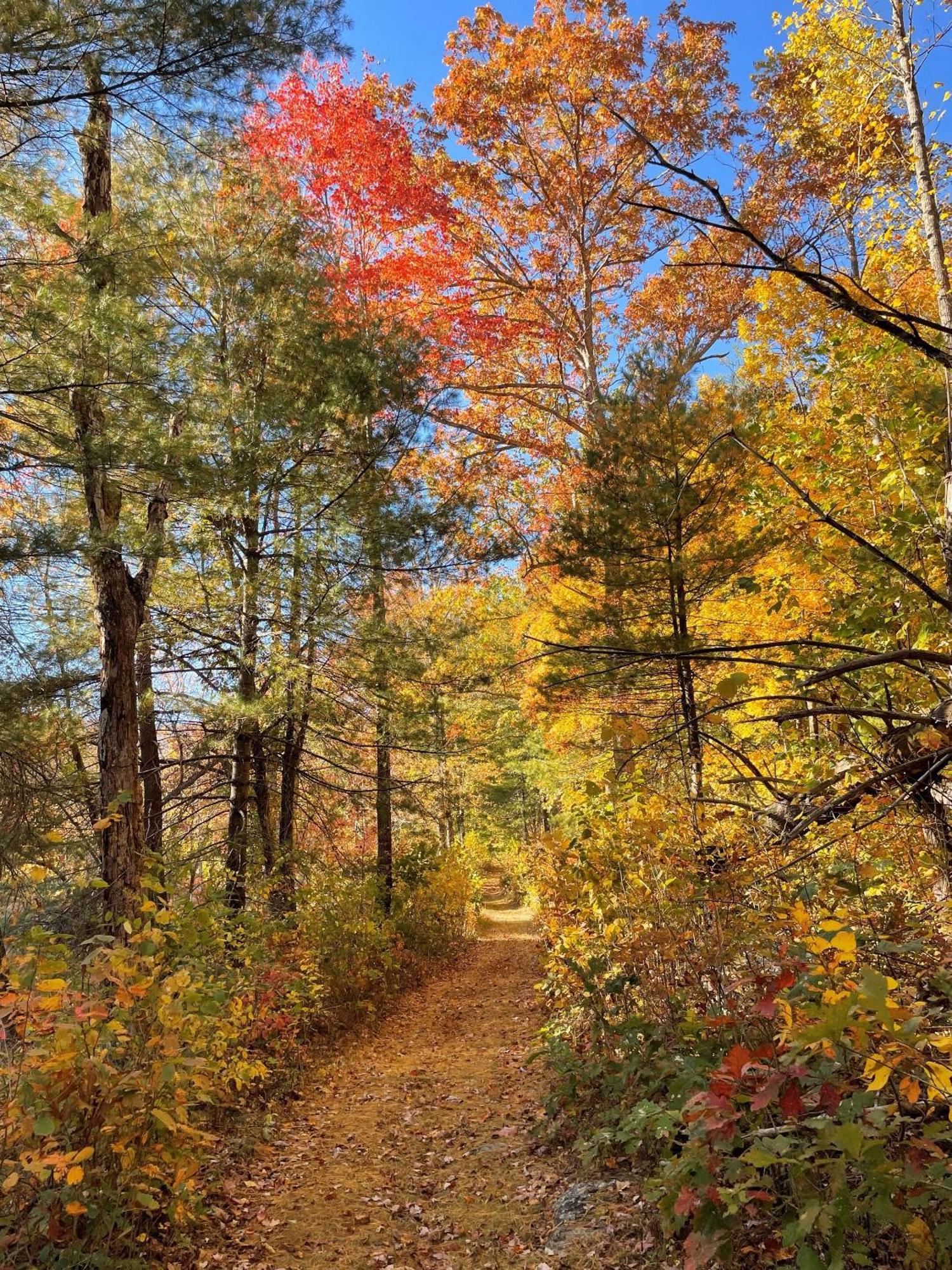 Montfair Resort Farm Crozet 외부 사진