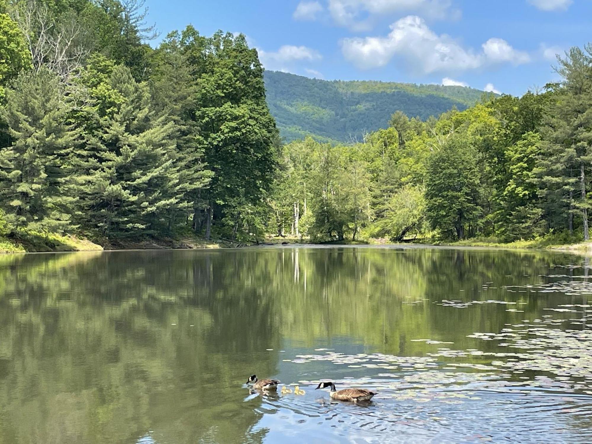 Montfair Resort Farm Crozet 외부 사진