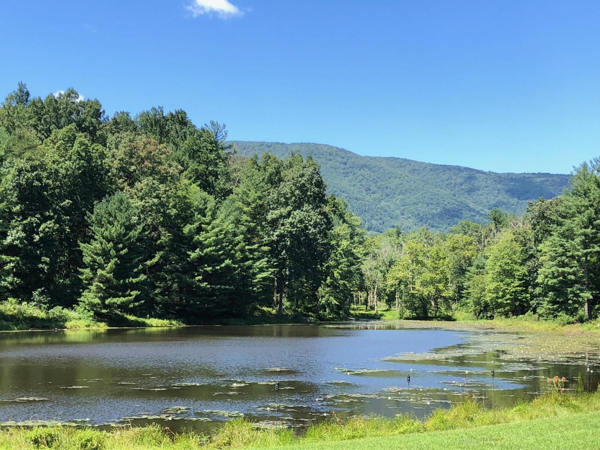 Montfair Resort Farm Crozet 객실 사진