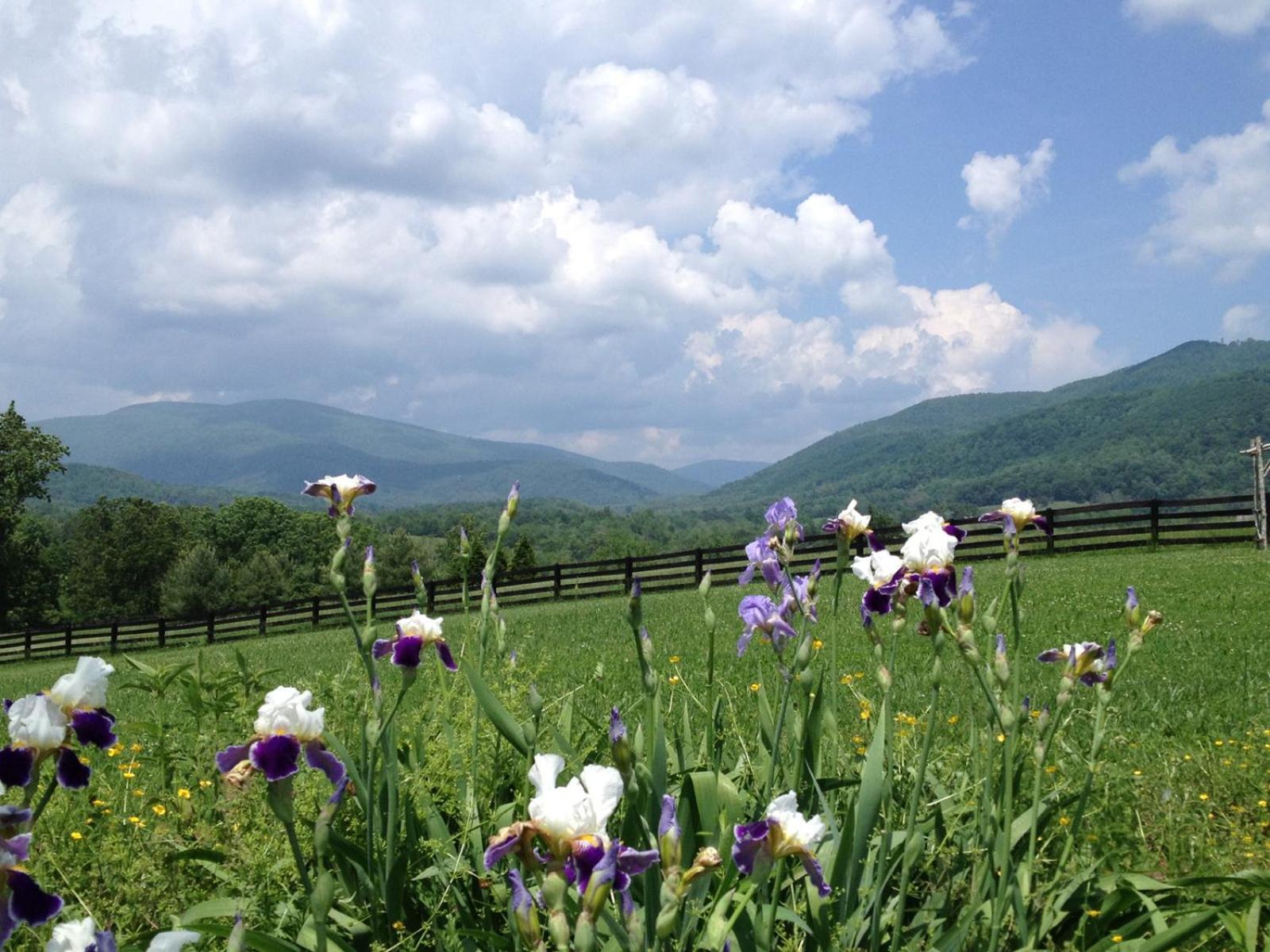 Montfair Resort Farm Crozet 객실 사진