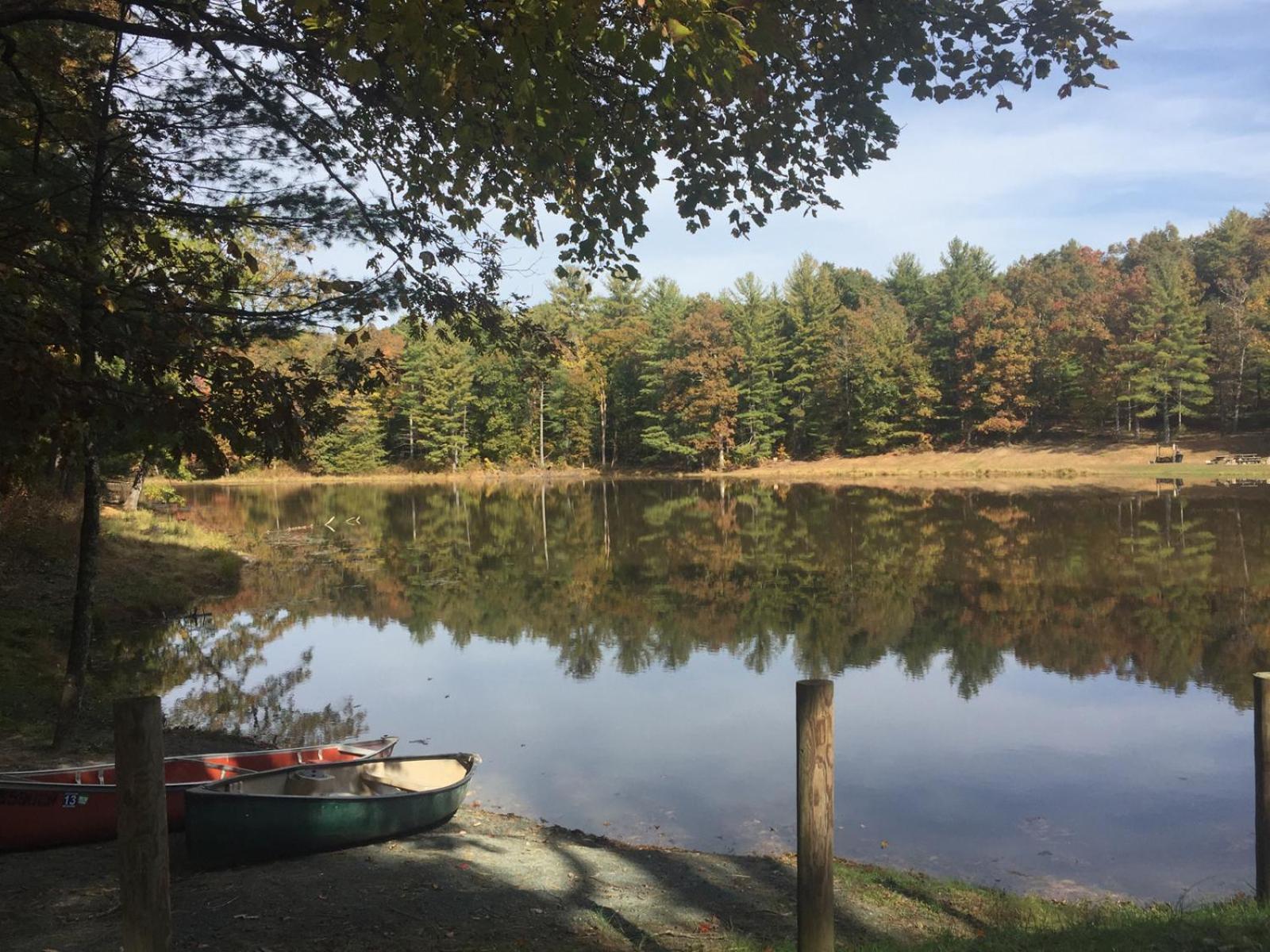 Montfair Resort Farm Crozet 객실 사진