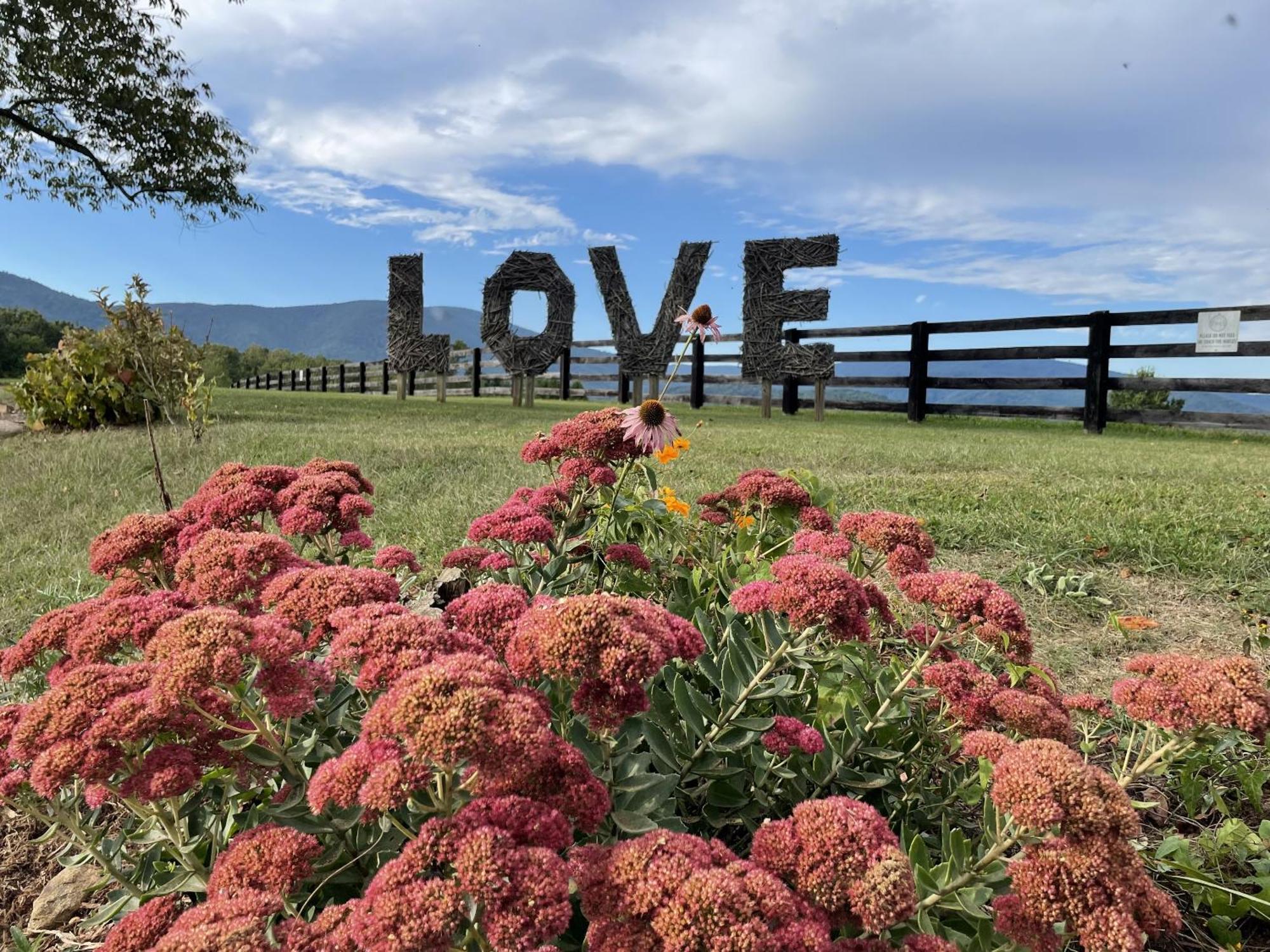Montfair Resort Farm Crozet 객실 사진