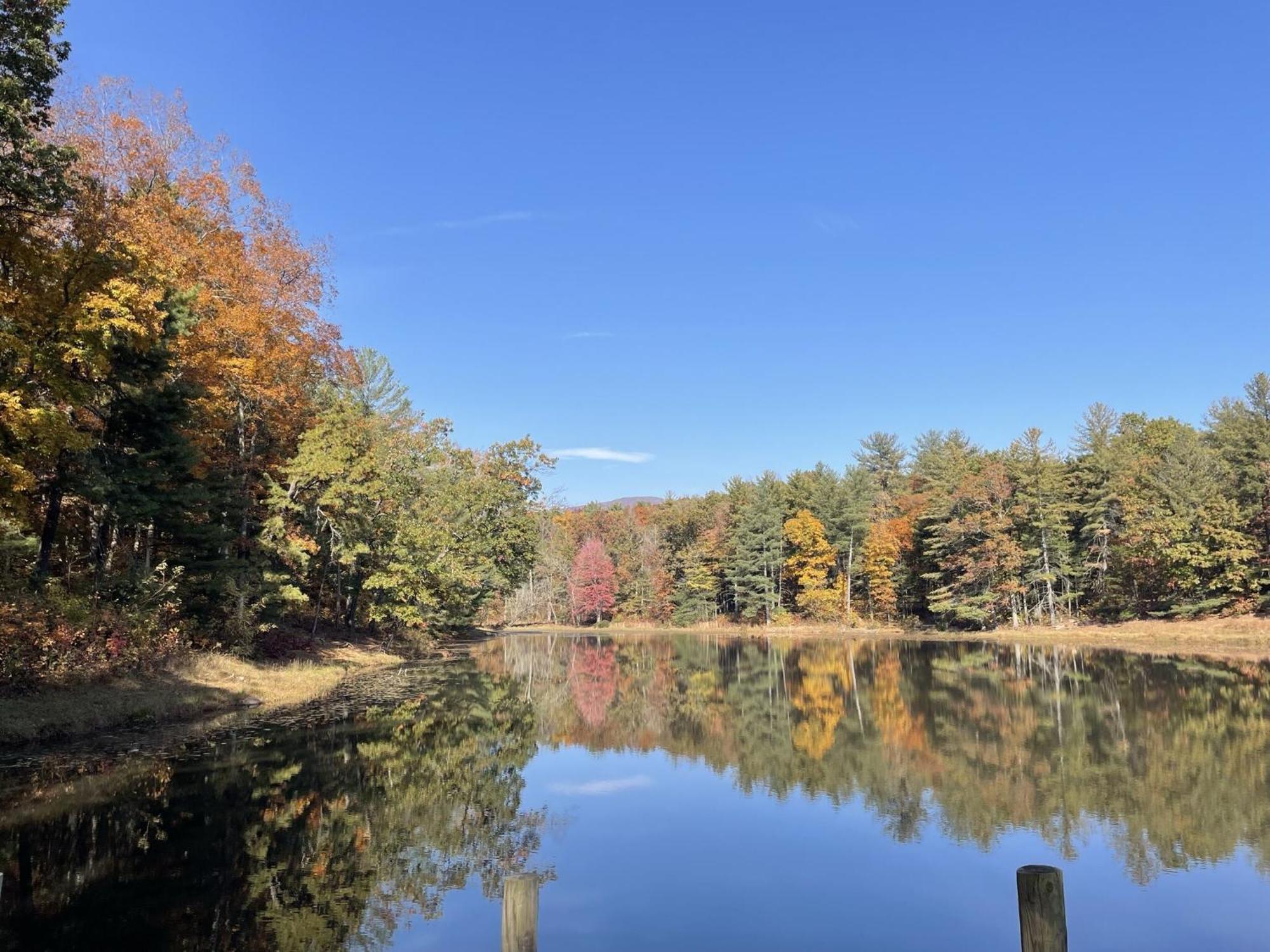 Montfair Resort Farm Crozet 외부 사진